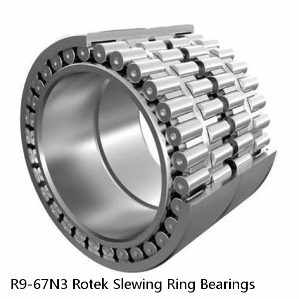 R9-67N3 Rotek Slewing Ring Bearings
