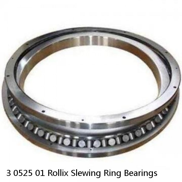 3 0525 01 Rollix Slewing Ring Bearings