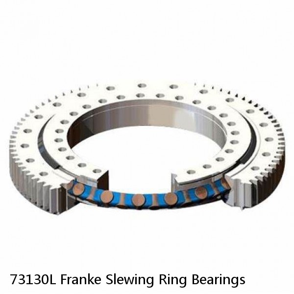 73130L Franke Slewing Ring Bearings