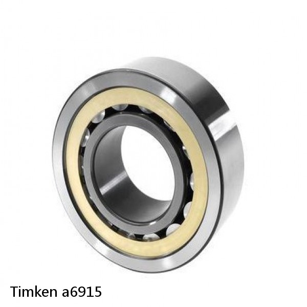 a6915 Timken Cylindrical Roller Radial Bearing