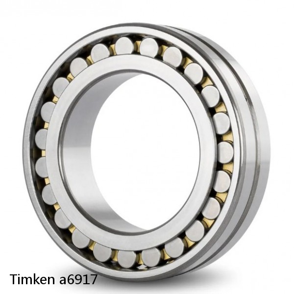 a6917 Timken Cylindrical Roller Radial Bearing