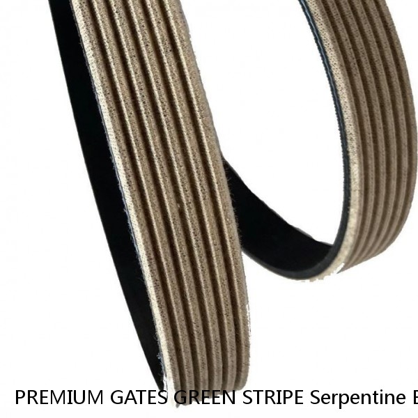 PREMIUM GATES GREEN STRIPE Serpentine Belt-Premium OE Micro-V Belt Gates K080580