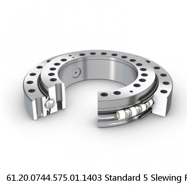 61.20.0744.575.01.1403 Standard 5 Slewing Ring Bearings