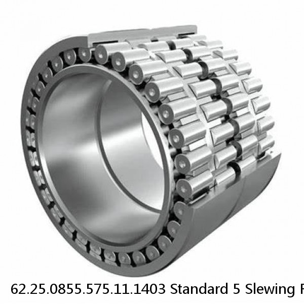 62.25.0855.575.11.1403 Standard 5 Slewing Ring Bearings