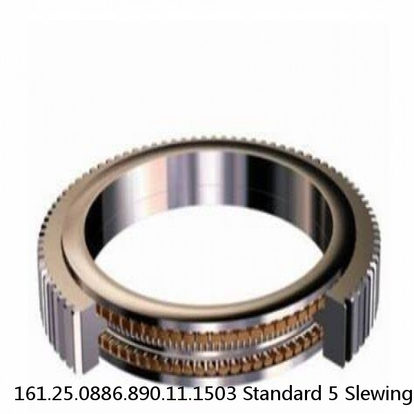 161.25.0886.890.11.1503 Standard 5 Slewing Ring Bearings