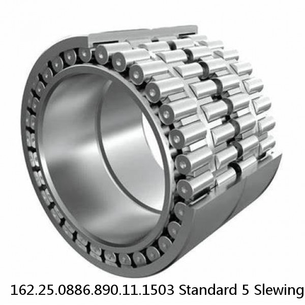 162.25.0886.890.11.1503 Standard 5 Slewing Ring Bearings