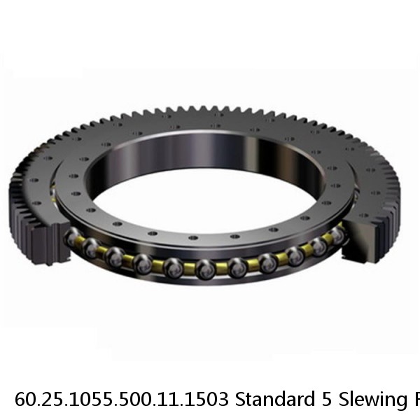 60.25.1055.500.11.1503 Standard 5 Slewing Ring Bearings