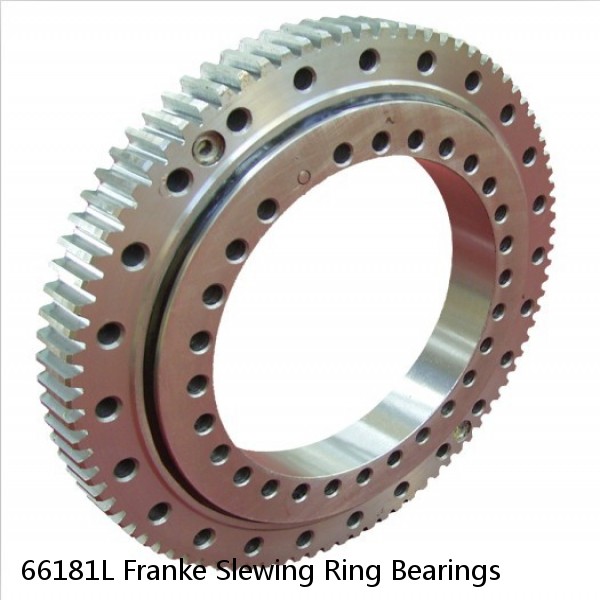 66181L Franke Slewing Ring Bearings