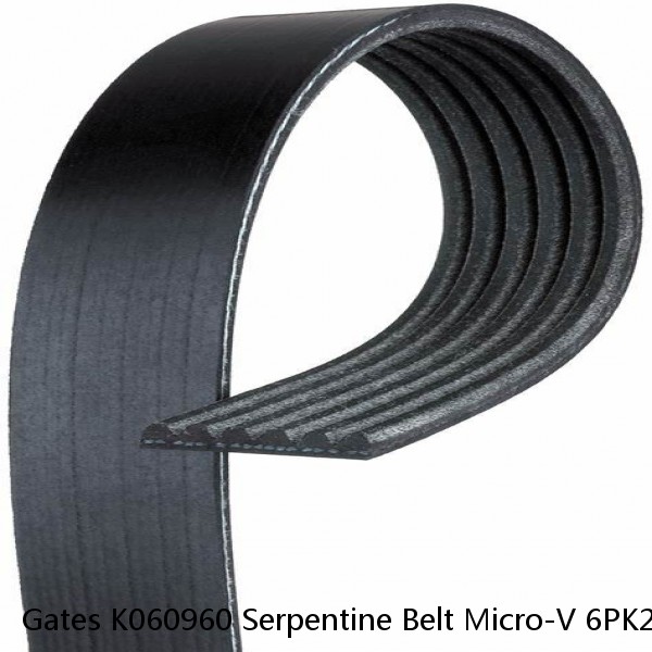 Gates K060960 Serpentine Belt Micro-V 6PK2439