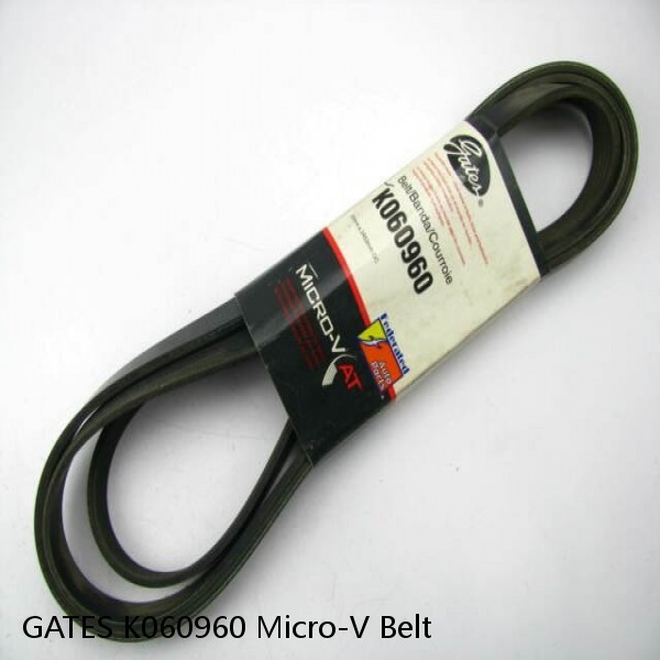 GATES K060960 Micro-V Belt