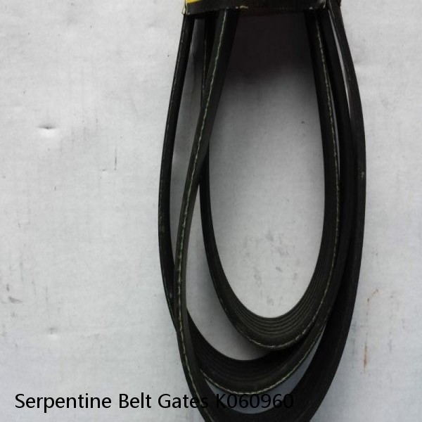 Serpentine Belt Gates K060960