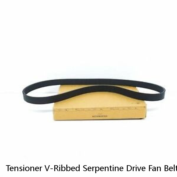 Tensioner V-Ribbed Serpentine Drive Fan Belt Set Gates INA For Audi  A4 B7 A6 C6 (Fits: Audi)